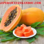 Manfaat Buah Pepaya untuk Kesehatan