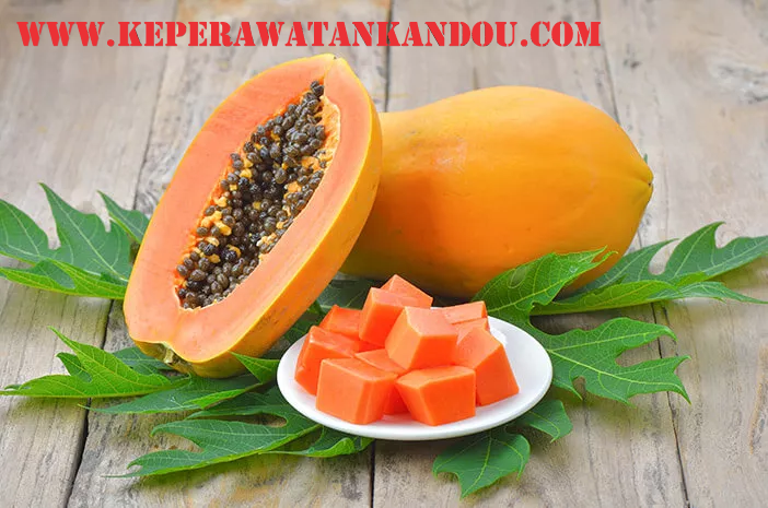 Manfaat Buah Pepaya untuk Kesehatan
